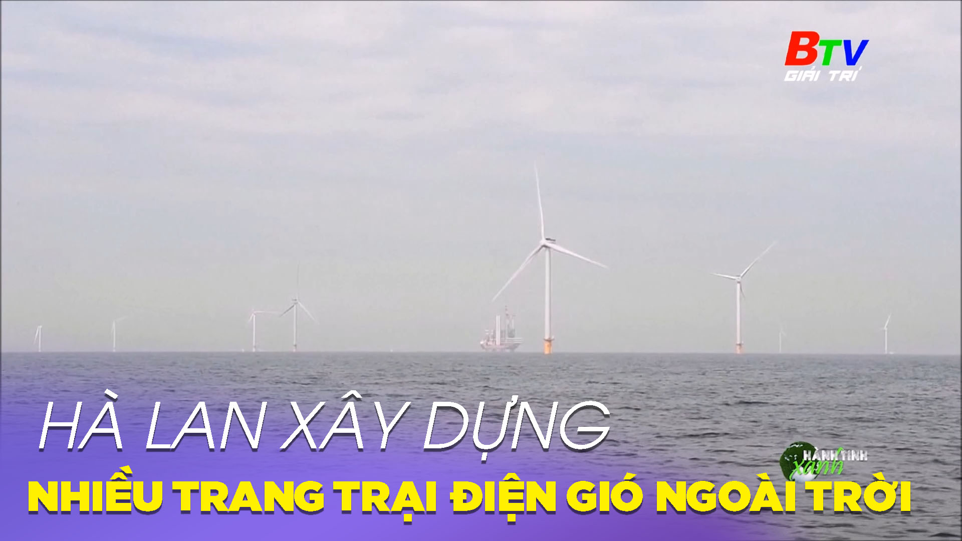 Hà Lan xây dựng nhiều trang trại điện gió ngoài khơi